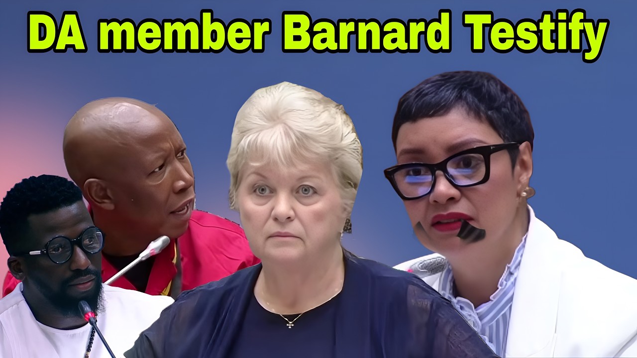 AdHoc Committee: Dianne Kohler Barnard testify