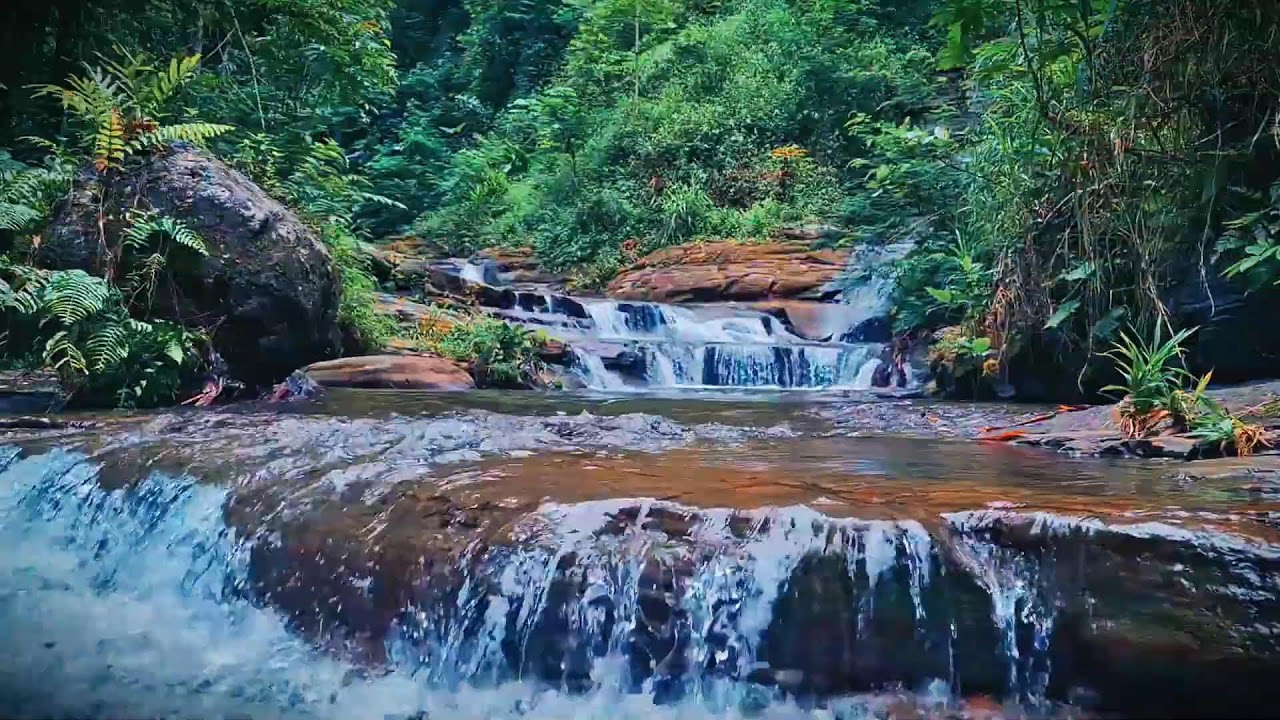 Mountain River Waterfall Flowing | Water Sounds, Nature White Noise, River Sounds for Sleeping