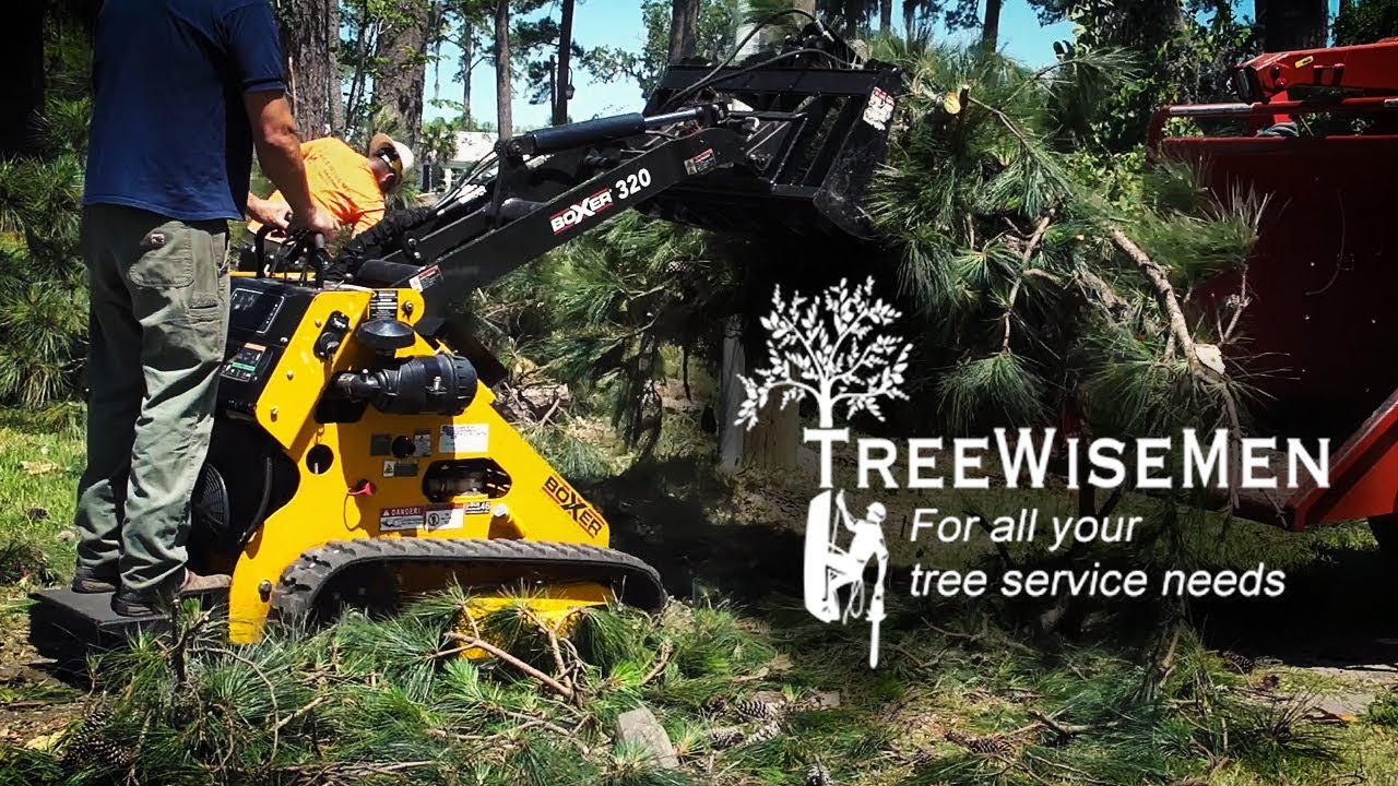 TreeWiseMen: Good People and Hardworking Equipment (Morbark Strong)