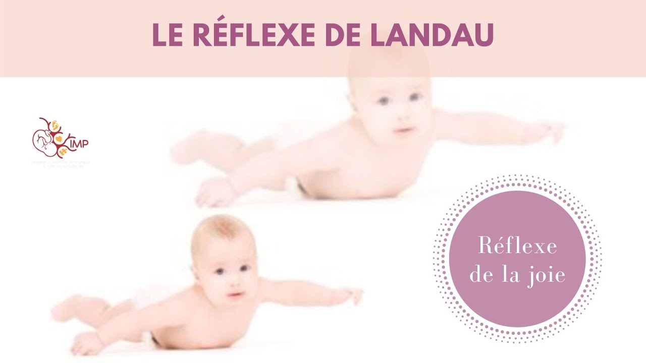 Le réflexe de Landau - Intégration Motrice Primordiale (IMP)