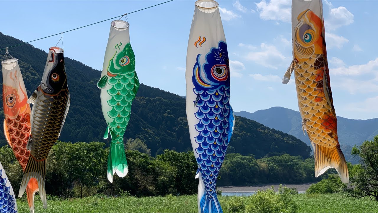 Japanese Flying Carp | Koi no Bori