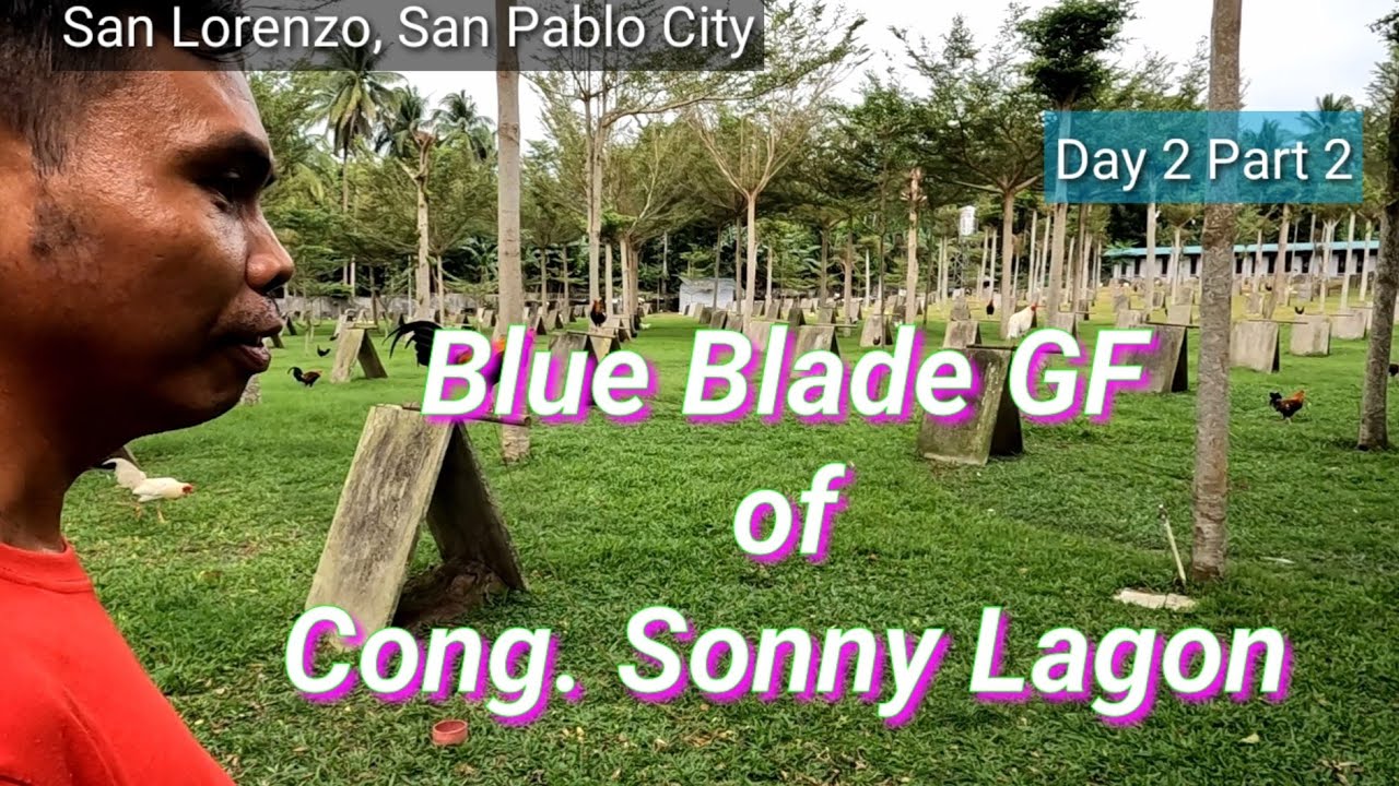 EP440 Day 2 Part 2: at the Blue Blade GF