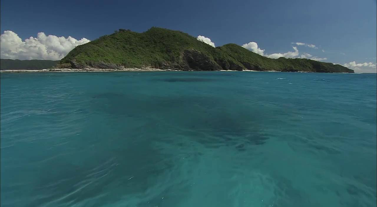 [10 Hours] Tropical Boat Ride [HD] SlowTV