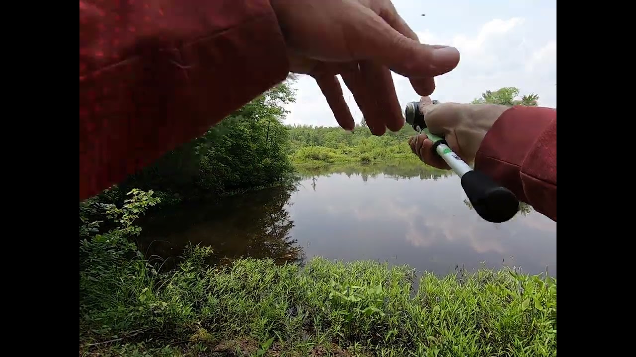 Topwater Spro E-Pop ALWAYS Works for Bass