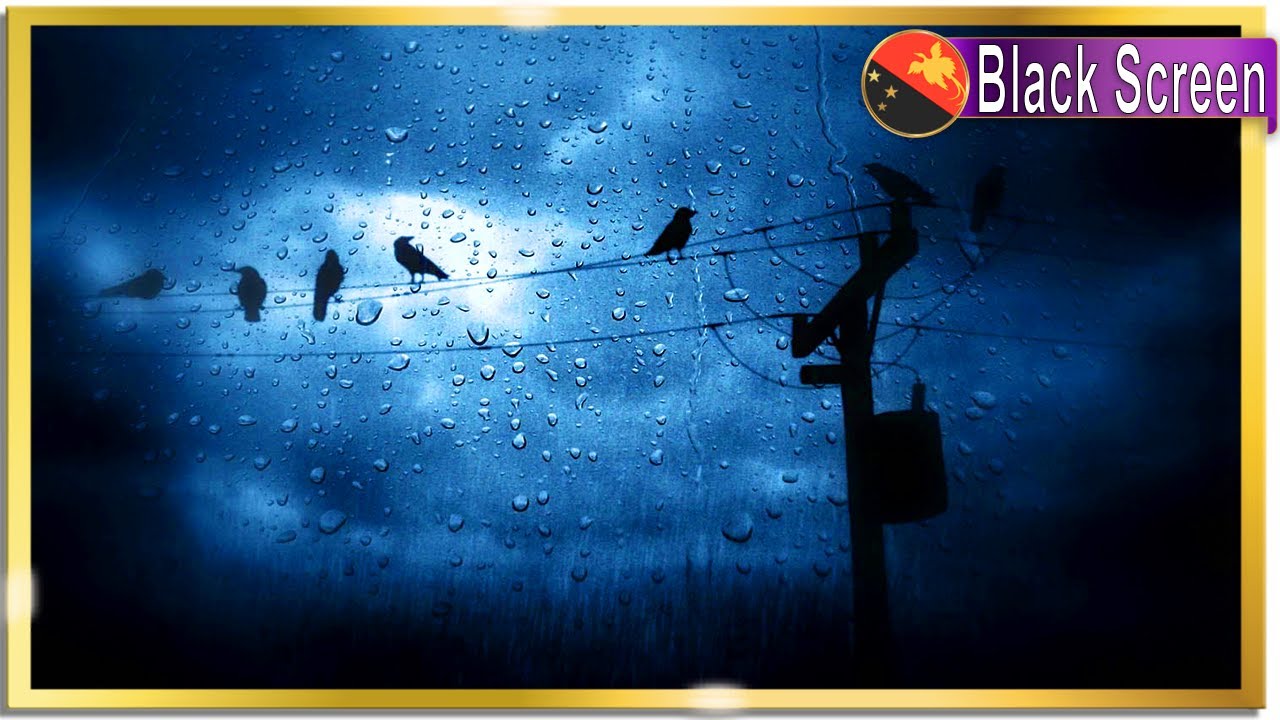 Relaxing Crows/Birds, Rain and Thunder Sounds for Sleeping Meditation Stress Relief BLACK SCREEN