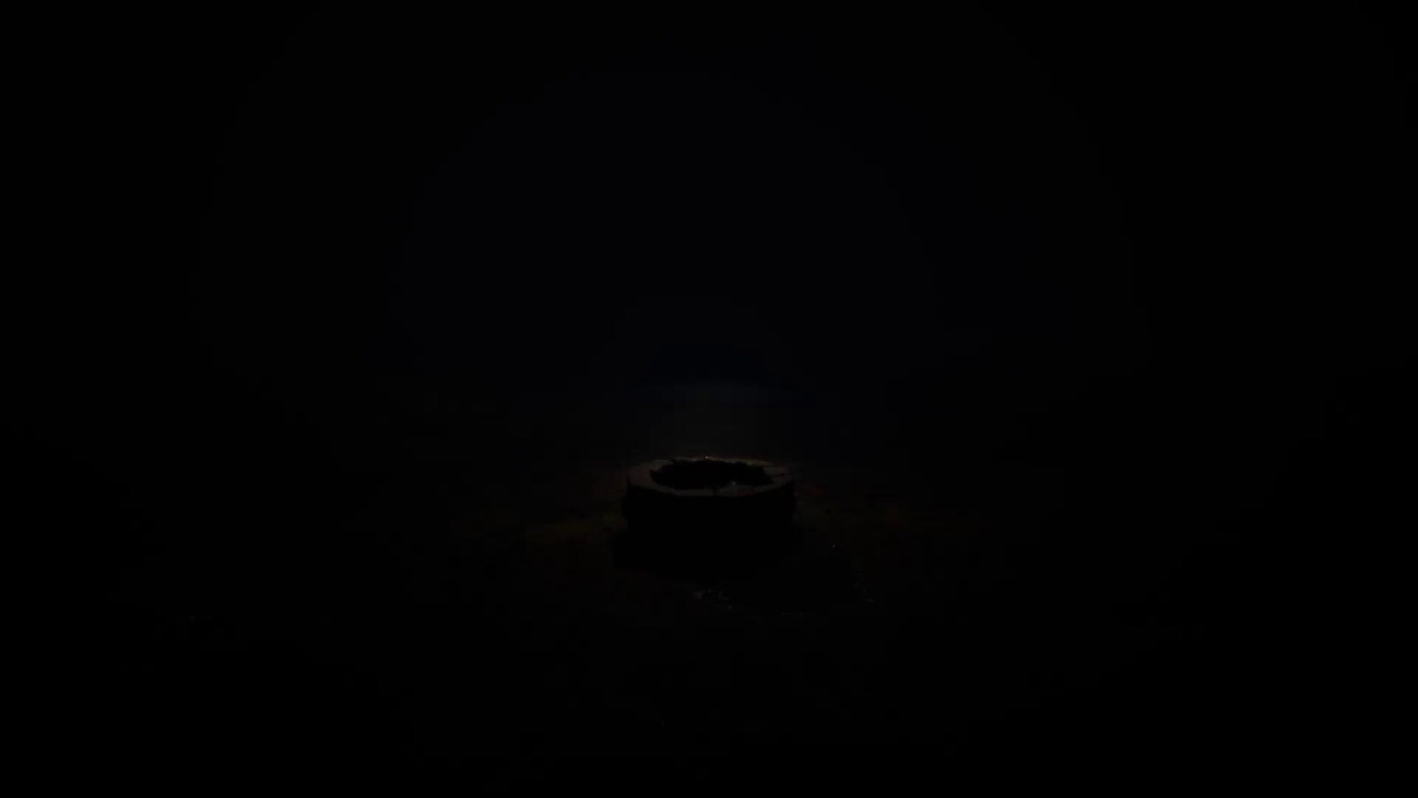 Reanimal co-op game
