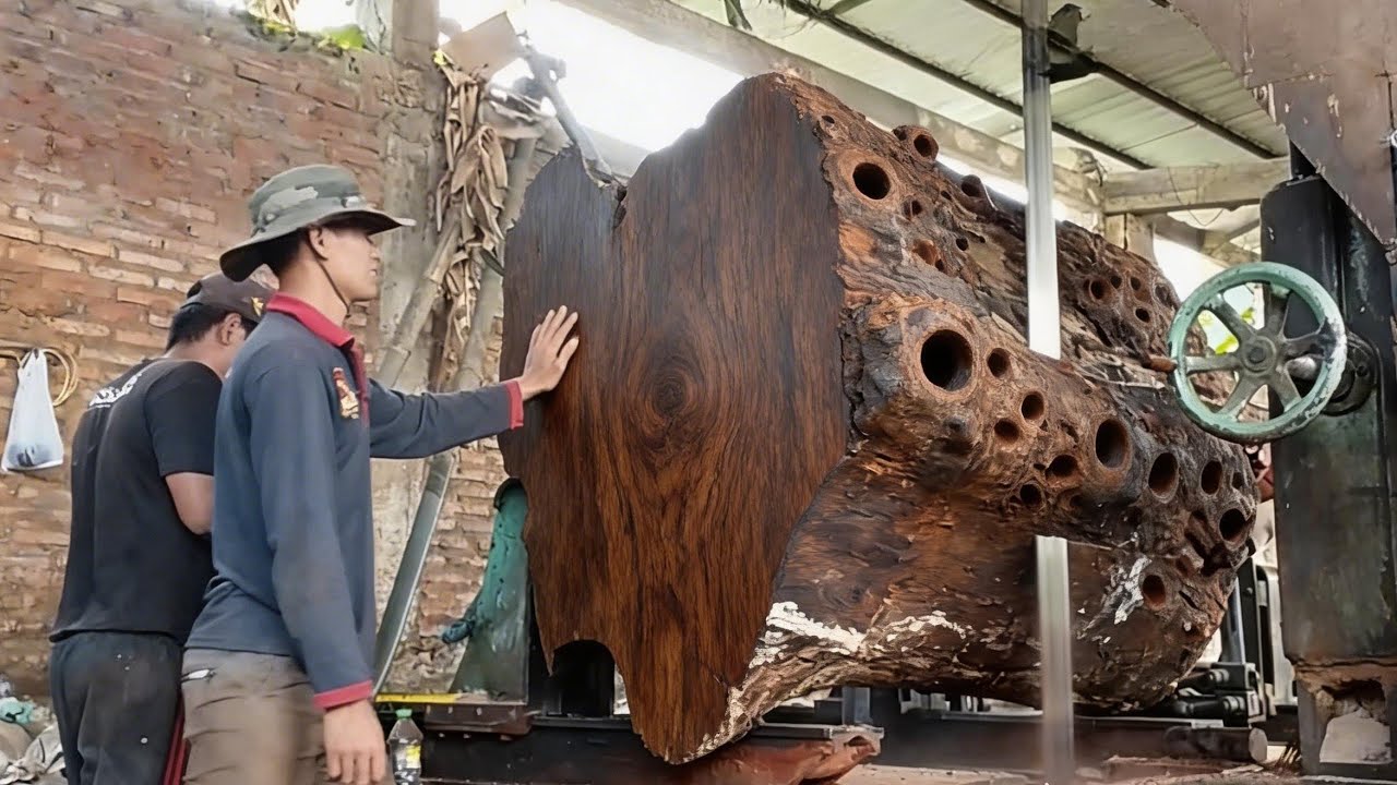 The surprising discovery of the oldest wood is as hard as steel