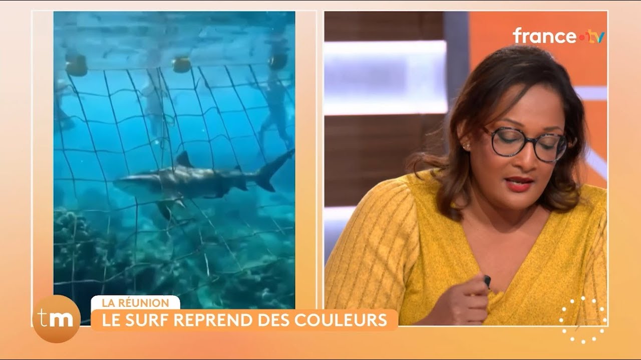 🇷🇪🦈🏄‍♀️ Le surf fait son retour à la Réunion