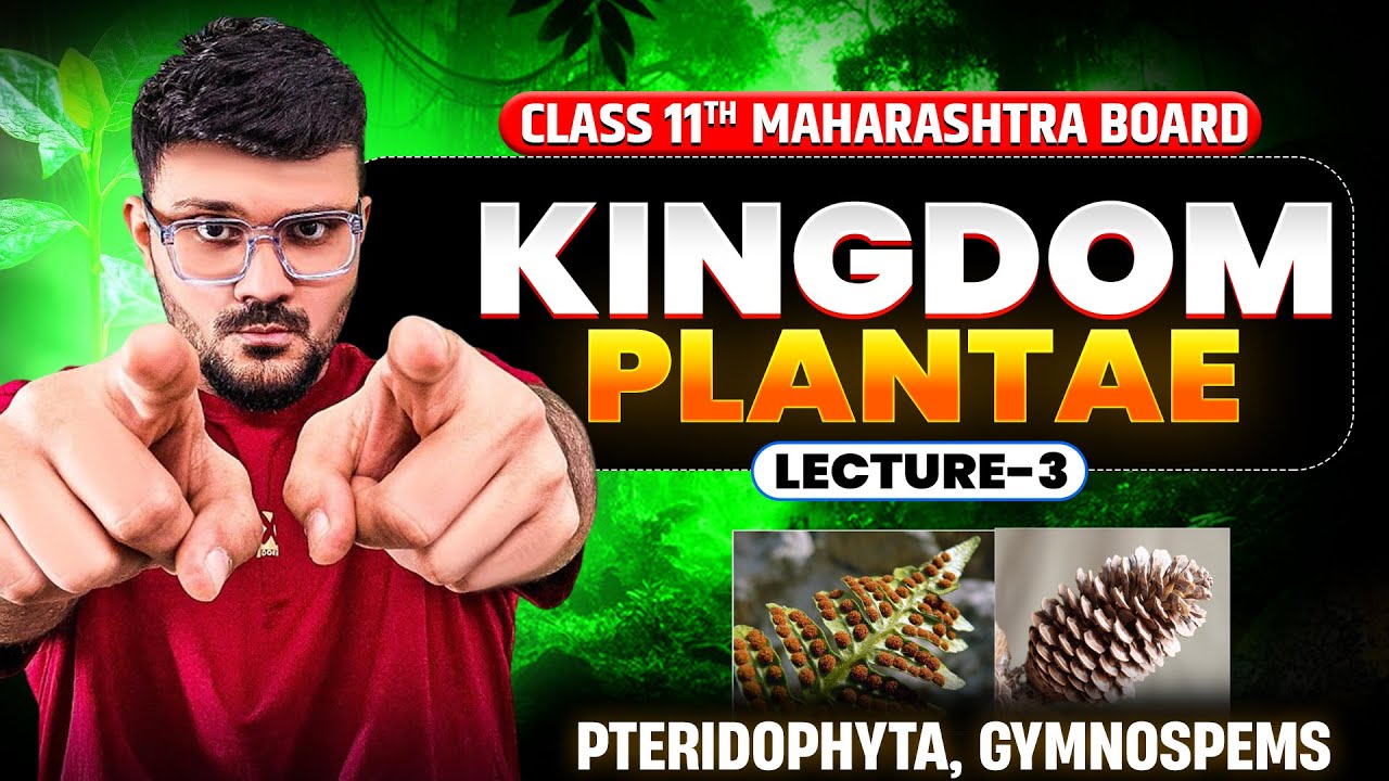 Kingdom Plantae Class 11 | Maharashtra Board Biology | Pteridophyta, Gymnosperms Lecture 3