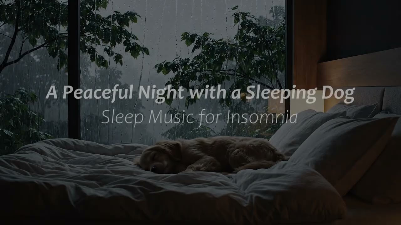 A Peaceful Night with a Sleeping Dog | Sleep Music for Insomnia