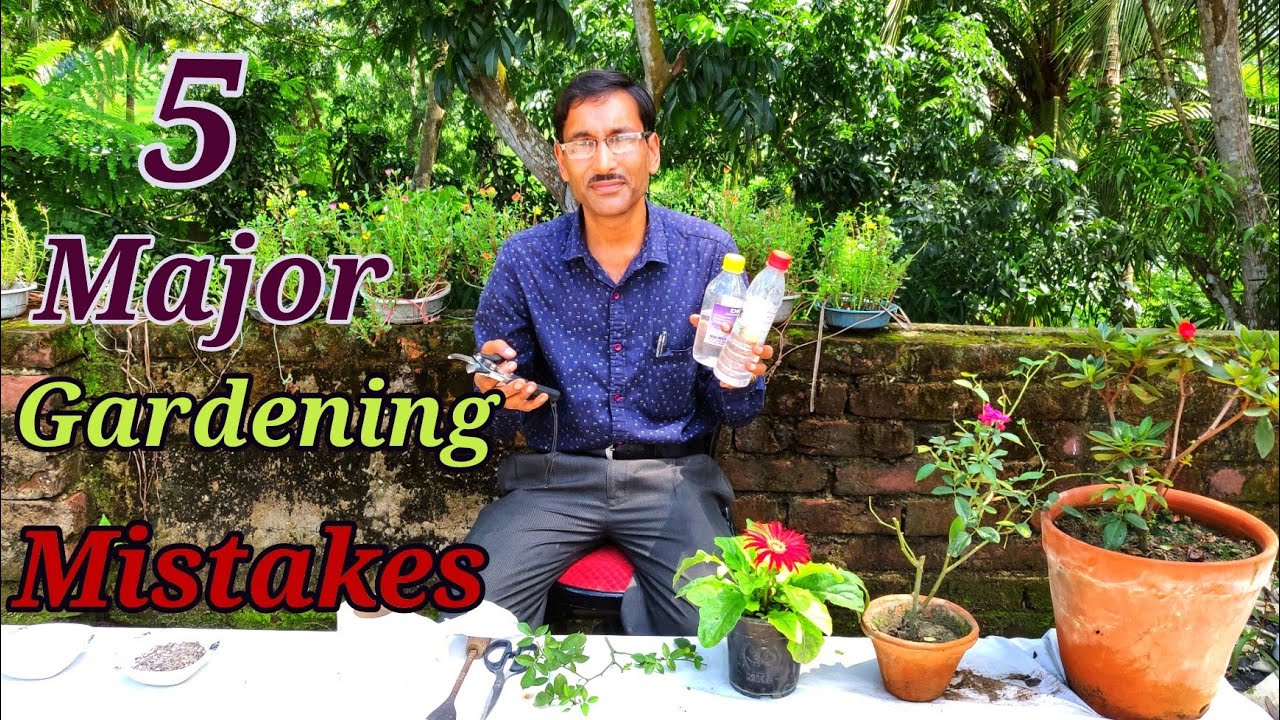 5 Biggest Gardening Mistakes You Should Never Do While Gardening.