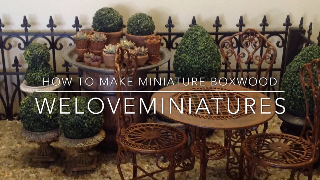 How to make miniature boxwood