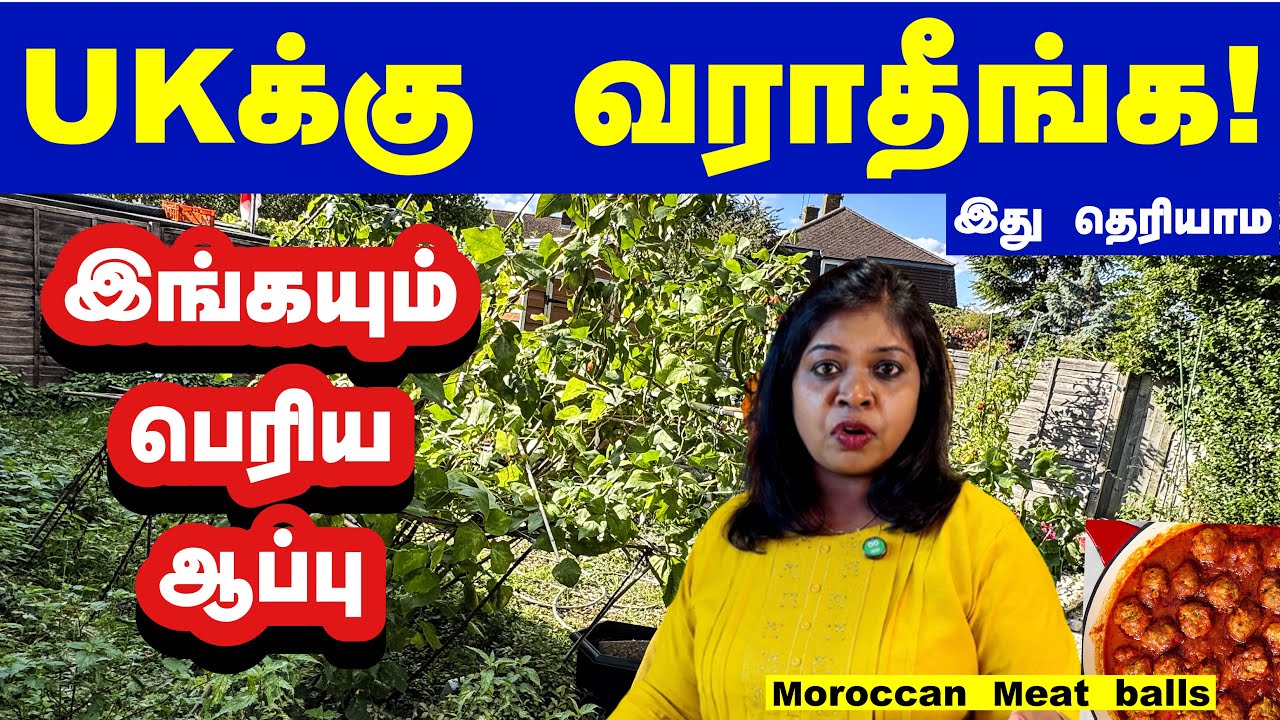 UK வராதீங்க இத தெரியாம இங்கயும் ஆப்பு😢moracoon meat balls/UKல அடிச்ச புயல்ல எங்க கார்டன் போயிருச்சு!