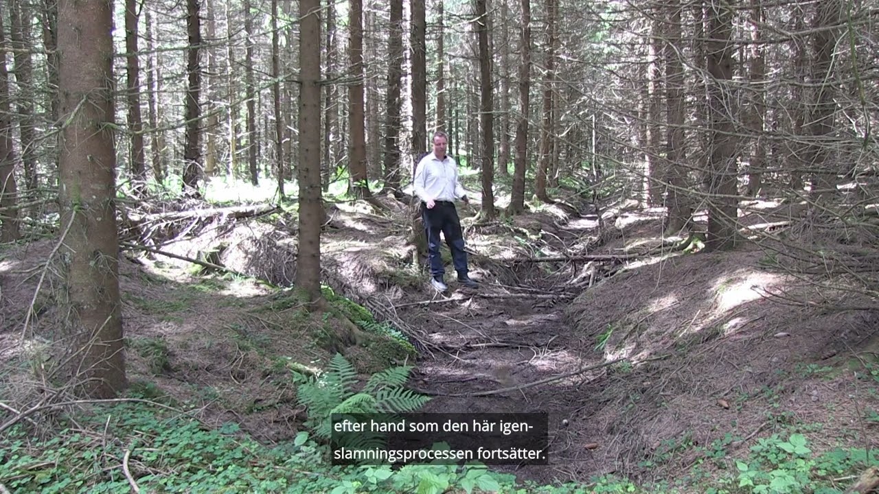 Naturnära skogsbruk, varför då? Med svensk subtext.