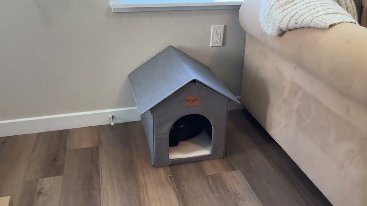 Loves Cabin Katzenhaus für drinnen und draußen – Warum wir es lieben