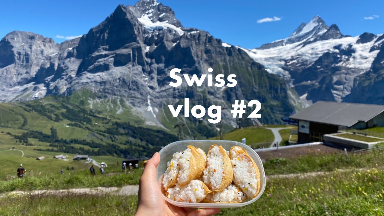 [여행 VLOG] 🇨🇭스위스 여행 | 그린델발트 | 핑슈텍 터보건 | 피르스트