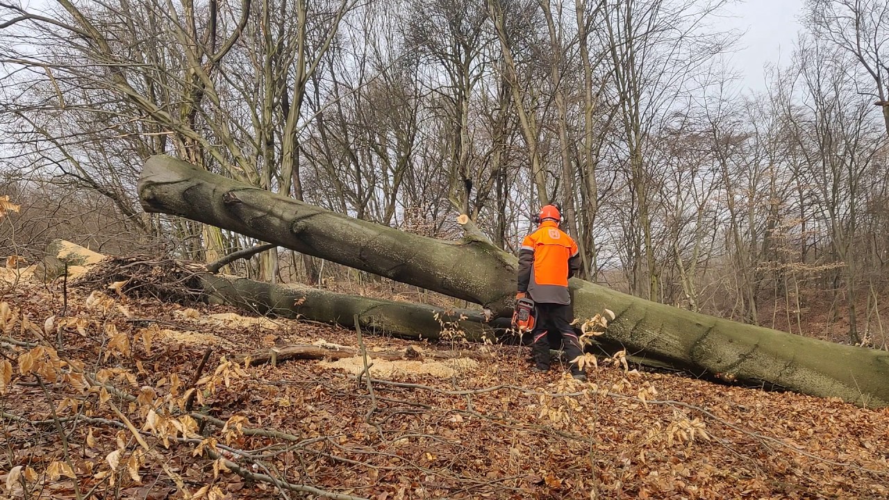 Husqvarna 395 XP, egy 