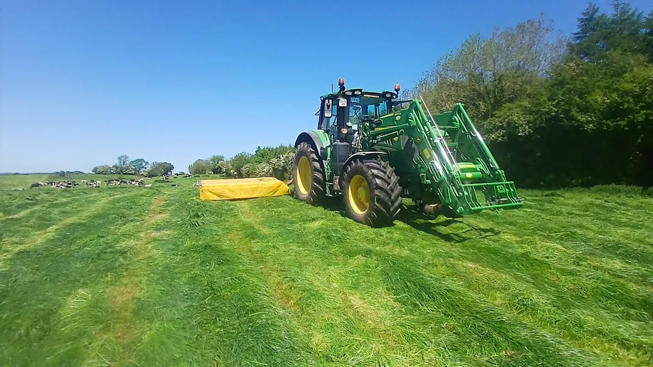 Silage|| rewarding myself ||farm series ep.02