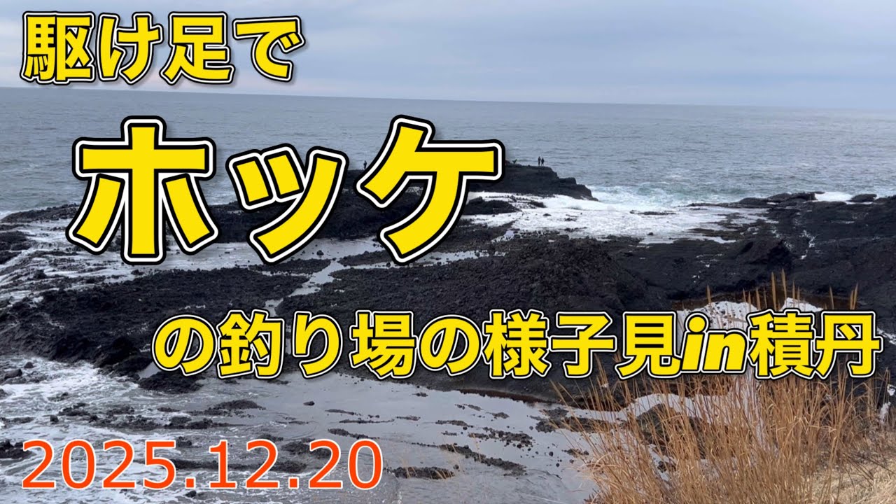 駆け足でホッケの釣り場の様子見in積丹【2025.12.20】