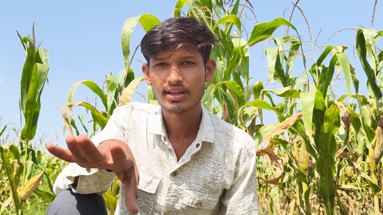 खेत में दिनभर की मेहनत 🌾। देसी किसान की असली लाइफ | village Blog 