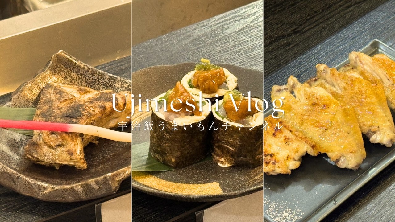 【宇治飯vlog#92】通いたくなる理由がわかる！駅近の名店隠れ家