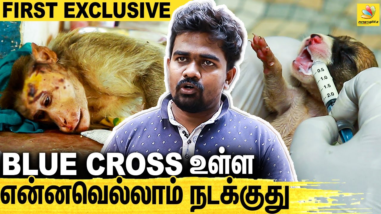 செல்ல பிராணிகளை சரியா வளர்க்களான CASE தான் : Blue Cross of India | Tamil Pet s