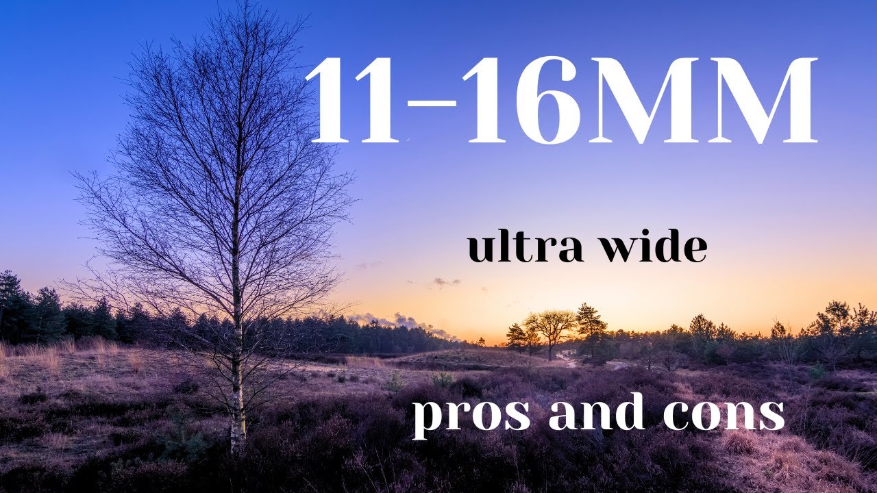 do we NEED an ULTRA wide angle lens?