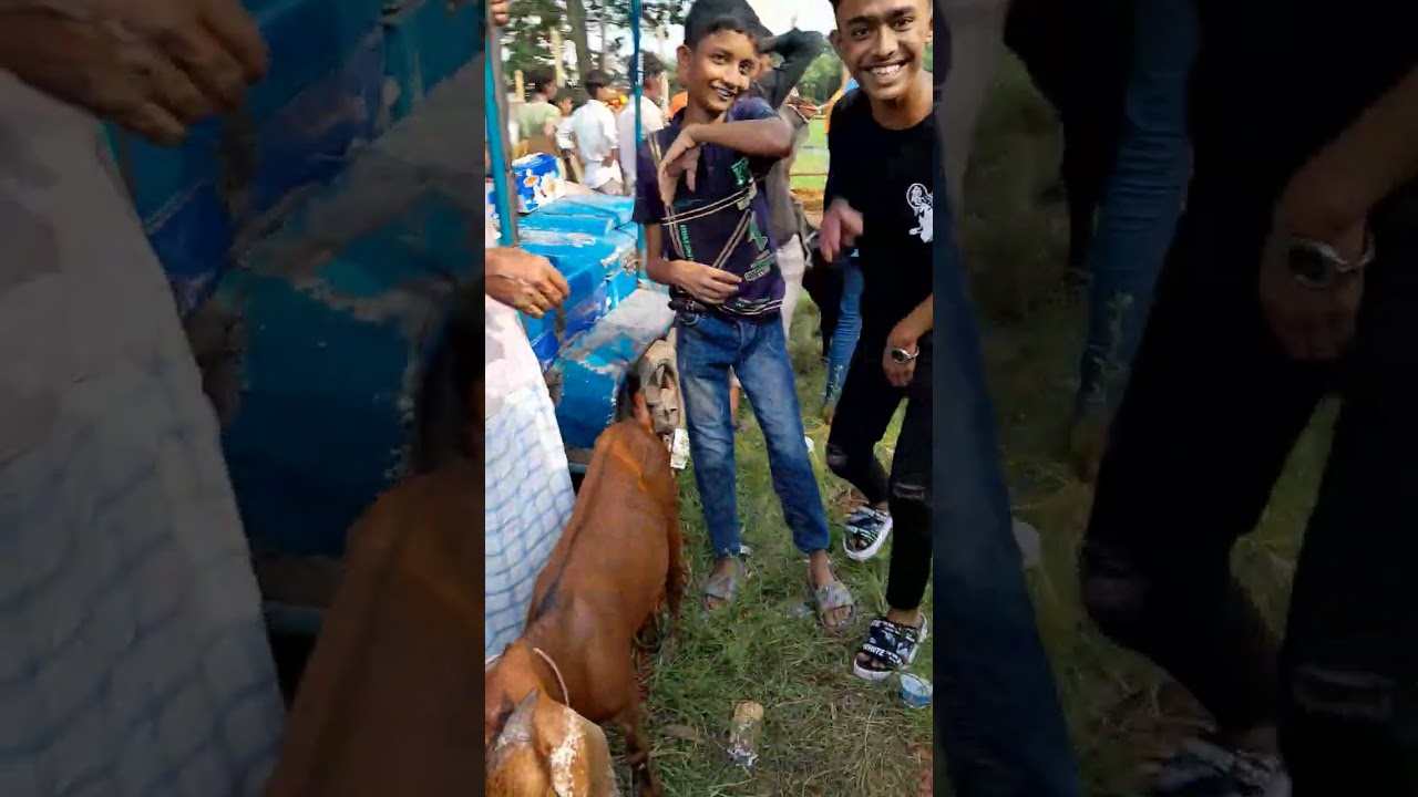 ঐতিহ্য বাহি চৌধুরী হাট,গরুর বাজার,নোয়াপাড়া রাউজান, চট্টগ্রাম।