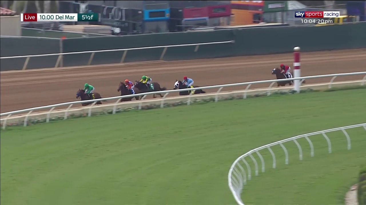 Arrogate's half-sister Immediate Impact wins easily on debut!