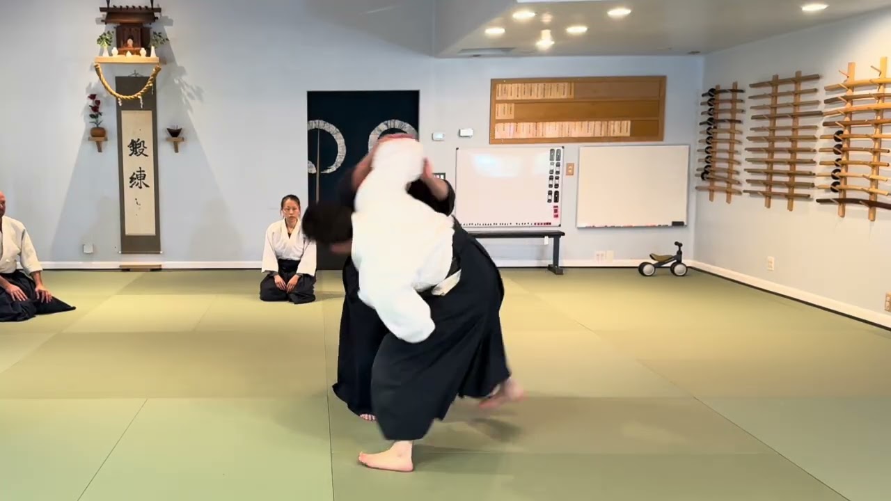 Aikido: Ikkyo Ura - Variation