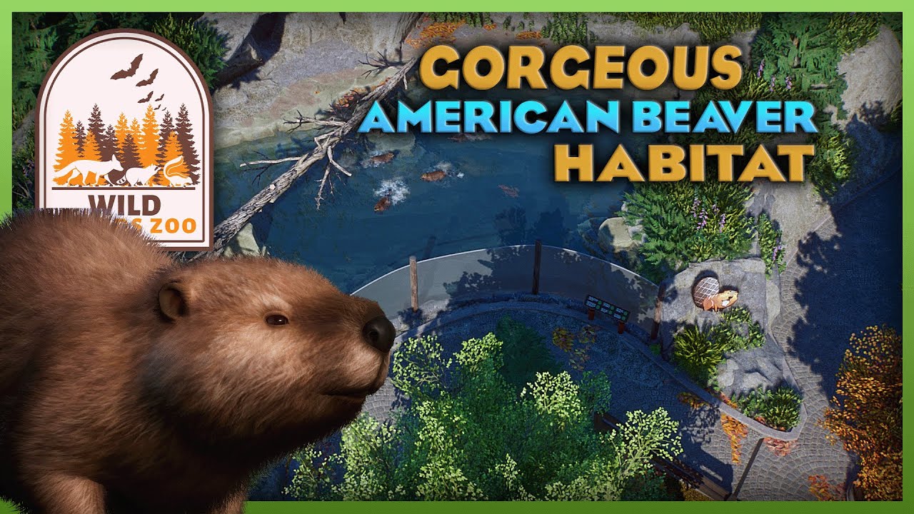 Прекрасная бухта Бивер! | Зоопарк Уайлд Вудс | Набор &laquo;Сумерки&raquo; от Planet Zoo