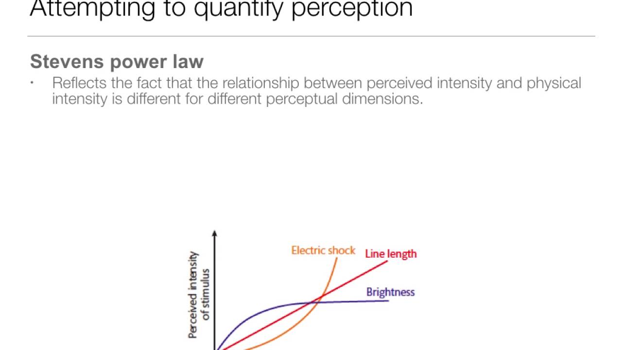 Perception: 1.6 Laws and Theories