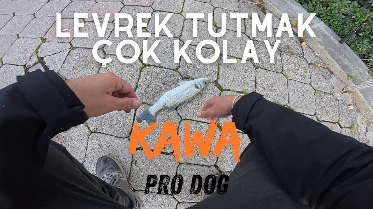 Levrek &Ccedil;ıldırdı ! Boş Yok ! Levrek Avı! Fethiye Balık Avı     #fethiye #balıkavı #levrek