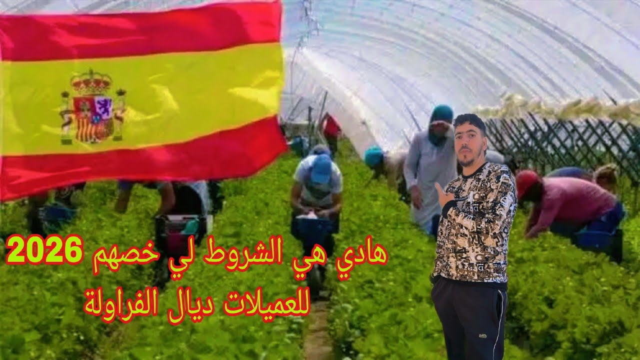 هادي هي الشروط لي خصهم 2026 للعميلات ديال الفراولة🍓🍓