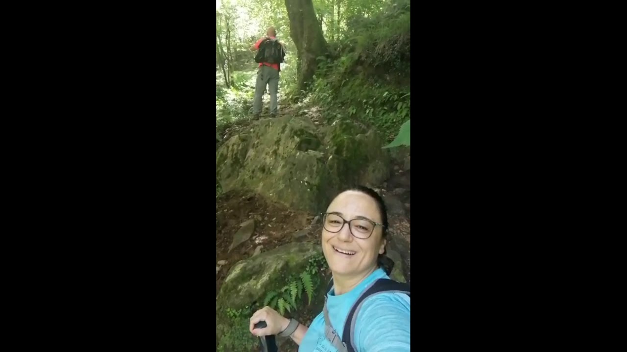 Hayedo La Biescona Pico Pienzu