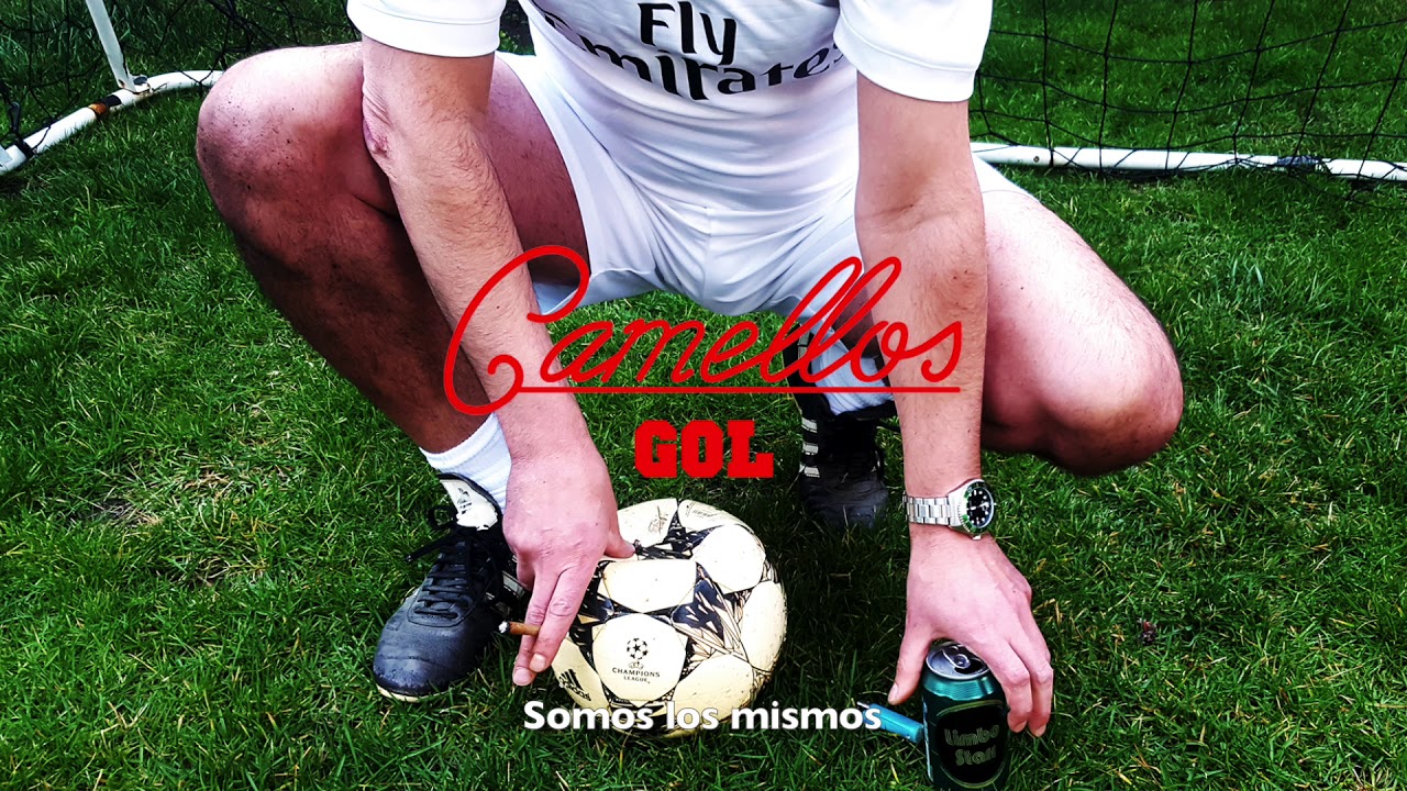 Camellos - 