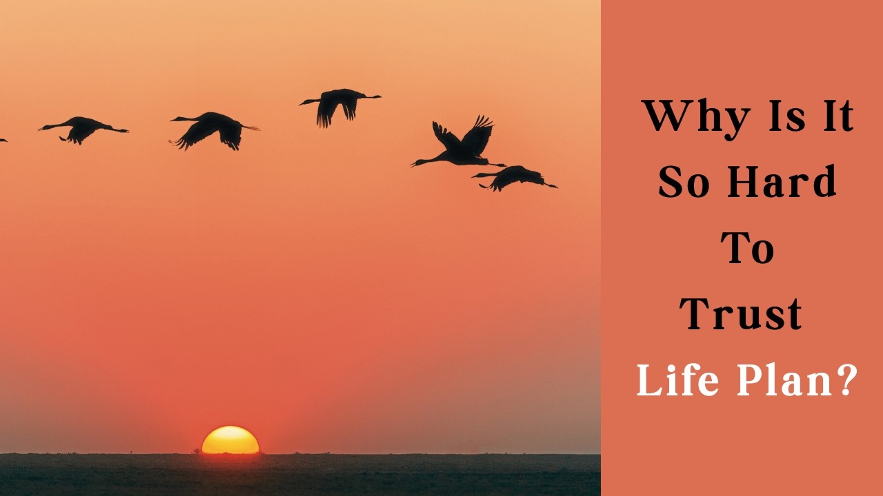 Why Trusting Life Feels Impossible? Walking with Faith in the Unknown