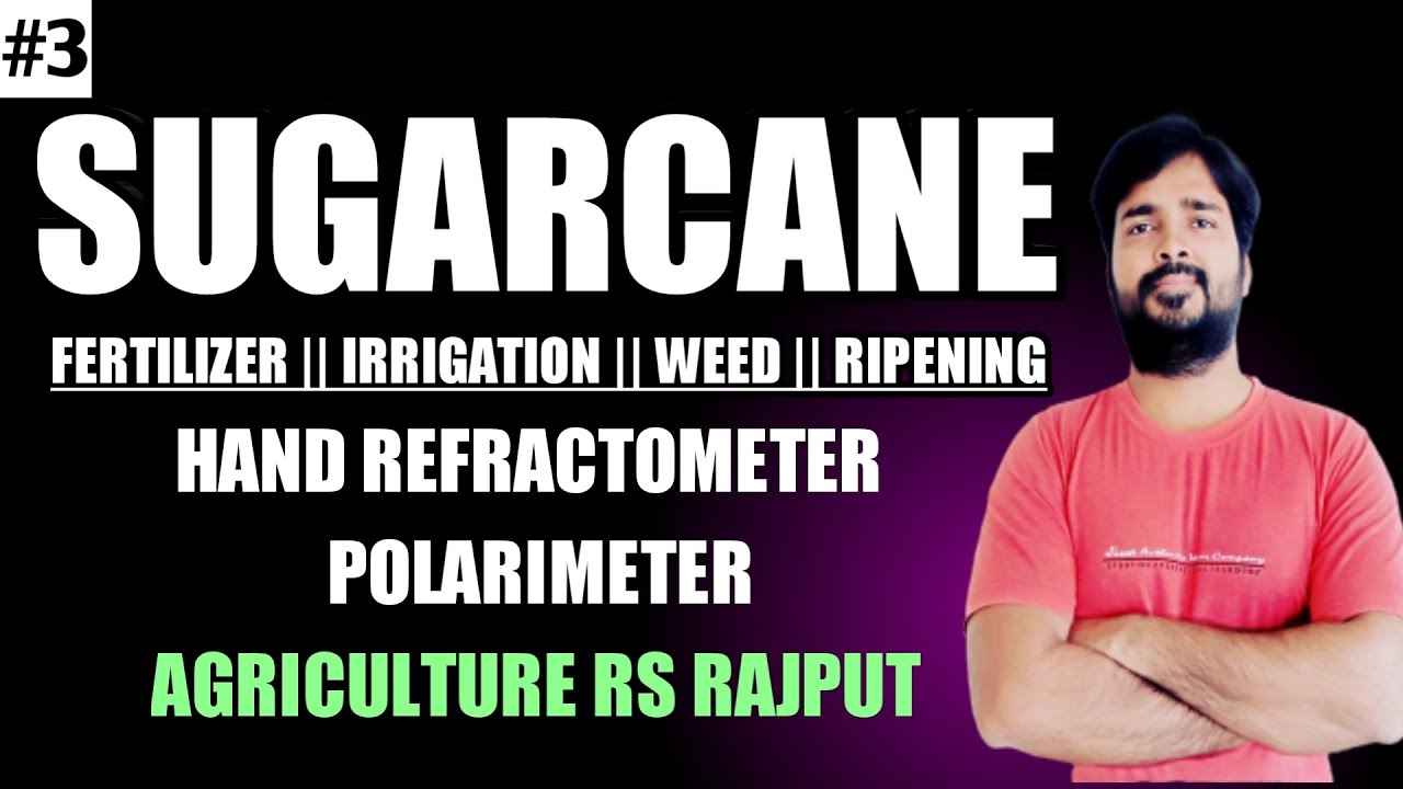 Cultivation of Sugarcane in Hindi | Sugarcane Cultivation Best Practices | Agronomy | Agriculture