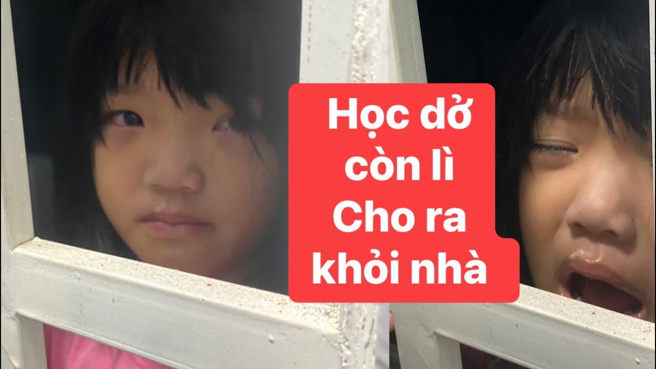 VLOG . CHO NA RA KHỎIii NHÀa