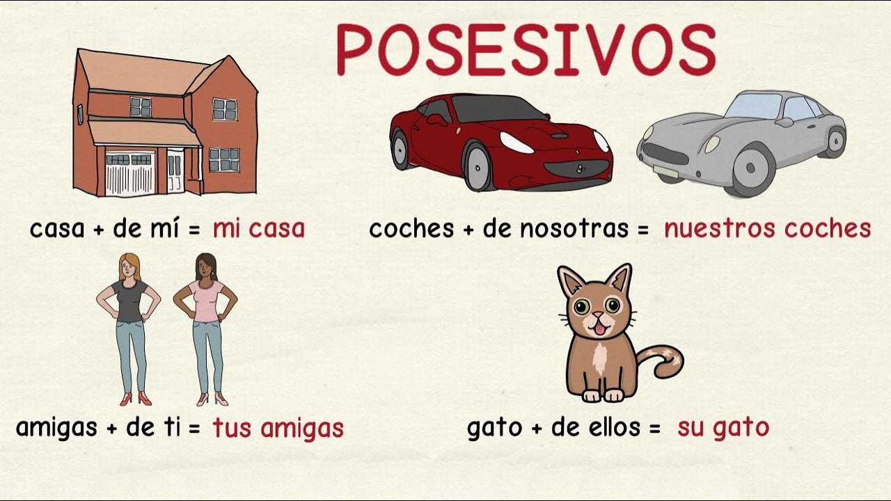 Aprender español: Formas de los posesivos átonos (nivel básico)