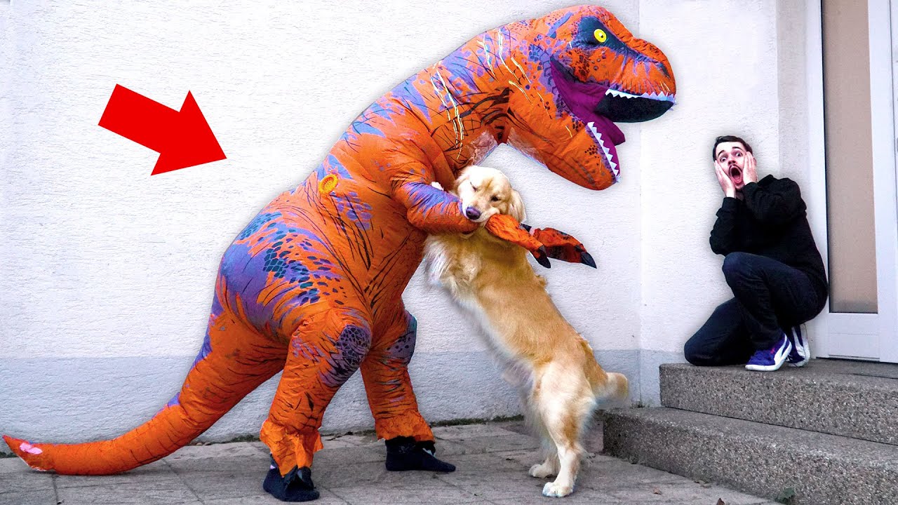 Dinosaurier T-REX KOSTÜM PRANK an Freund FLEXI und HUND Lucky !!!