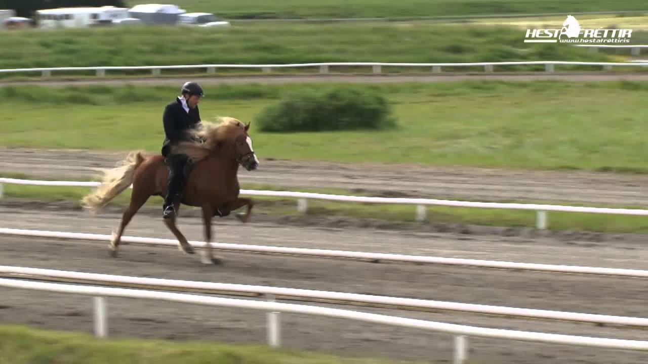 Ölnir frá Akranesi