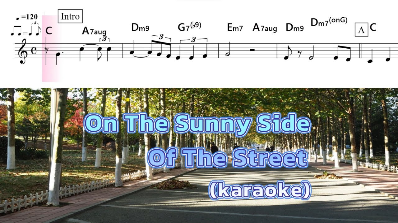 On The Sunny Side Of The Street (Guitar karaoke)