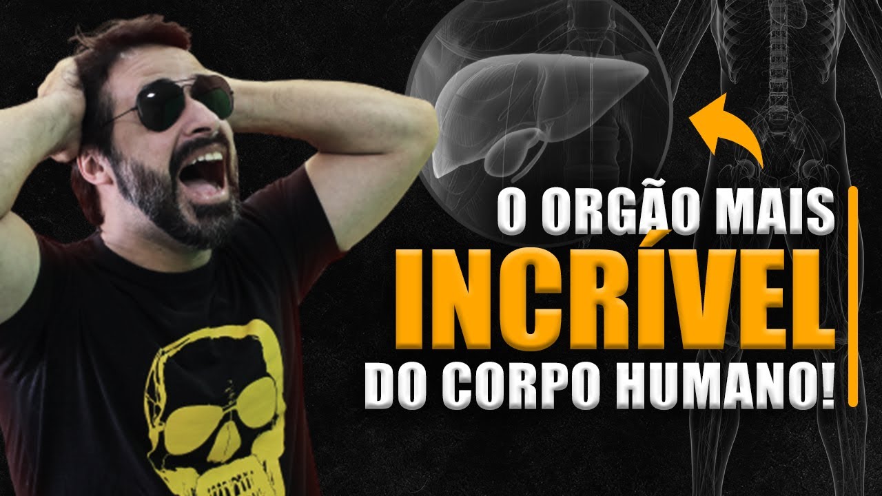 FÍGADO E FLUXO SANGUÍNEO HEPÁTICO APRENDA DE UMA VEZ POR TODAS