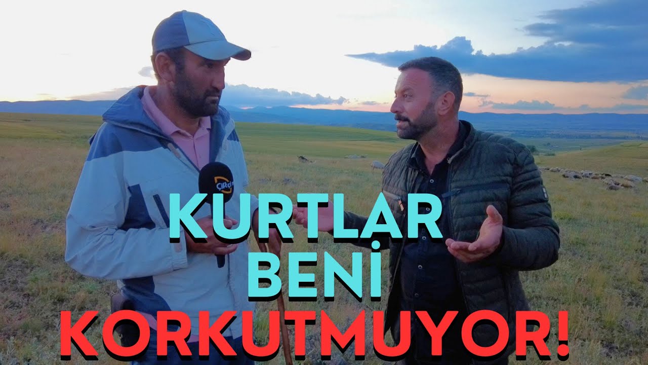 “Çoban Köpekleri İyiyse Kurtla Karşılaşılmaz!”