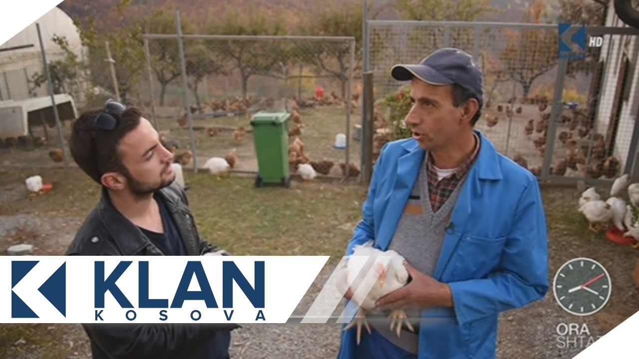 Ora 7 - Prodhimi i vezëve organike ne Maçiteve të Suharekës - 10.11.2015 - Klan Kosova