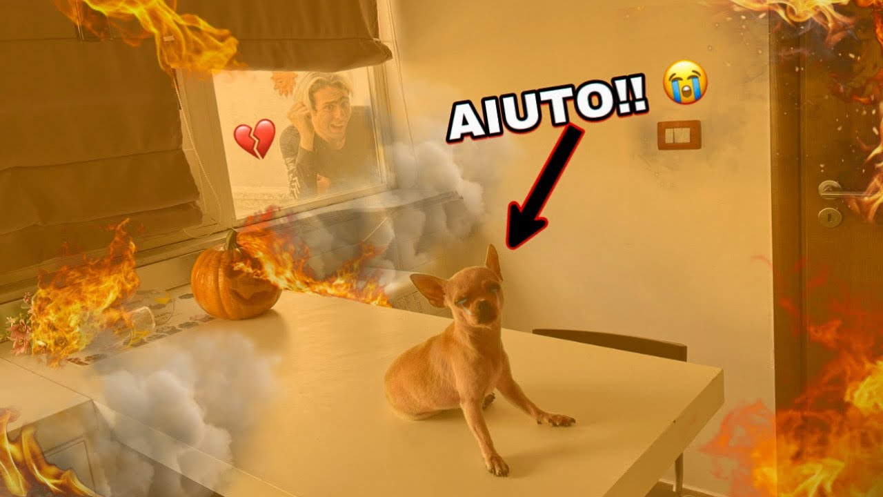 LASCIAMO IL NOSTRO CAGNOLINO IN UNA CASA BOLLENTE!! *ADDIO*