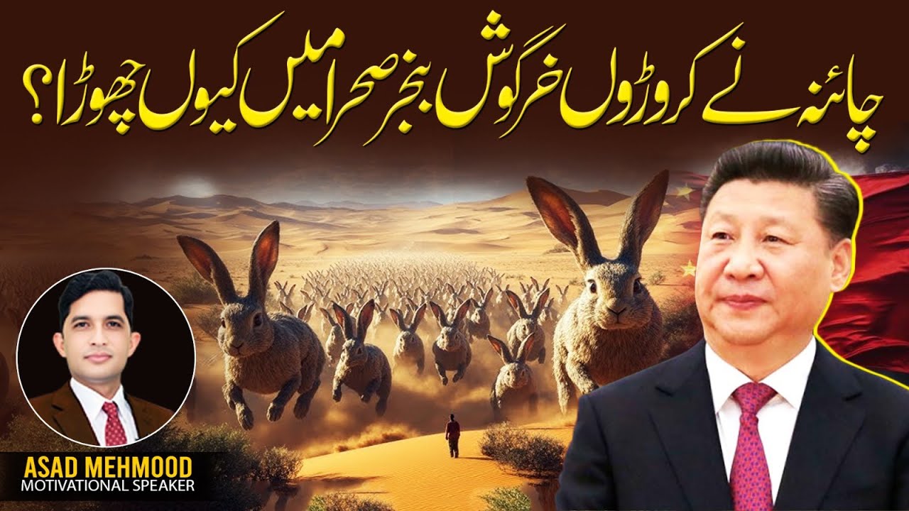 Why Did China Release Millions of Rabbits Into the Desert?  | Asad Mehmood