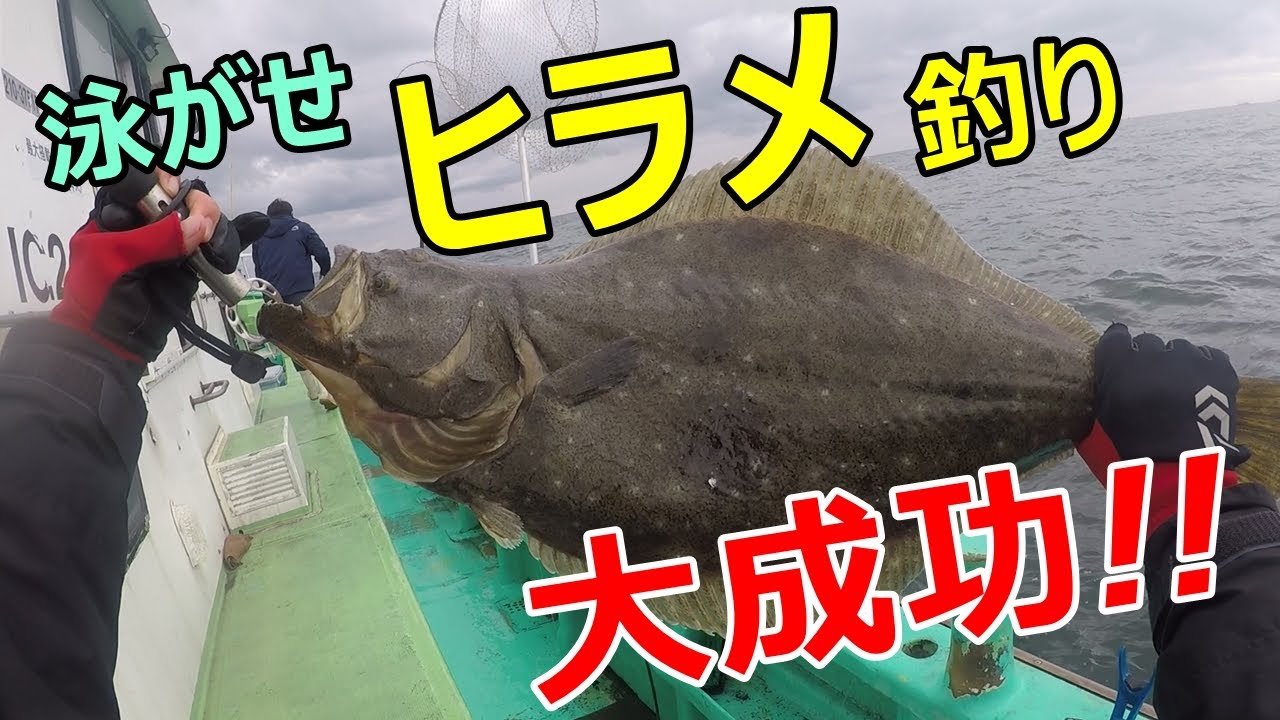 泳がせヒラメ釣り！～鹿嶋旧港からライトヒラメ船に乗ってきました！