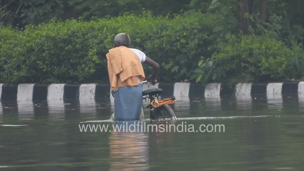 Delhi's historic floods of July 2023 | Commuters battle rising waters